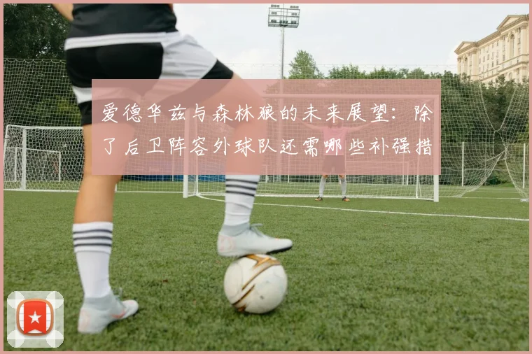 爱德华兹与森林狼的未来展望：除了后卫阵容外球队还需哪些补强措施