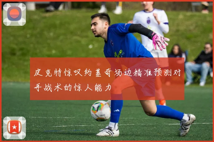 皮克特惊叹约基奇场边精准预测对手战术的惊人能力
